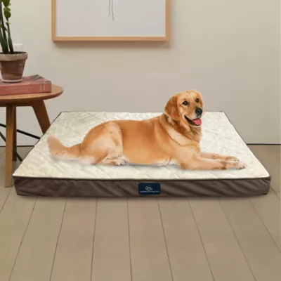 Serta Quilted Orthopedic Pet Pillowtop - Image 4