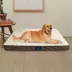 Serta Quilted Orthopedic Pet Pillowtop image thumbnail 4