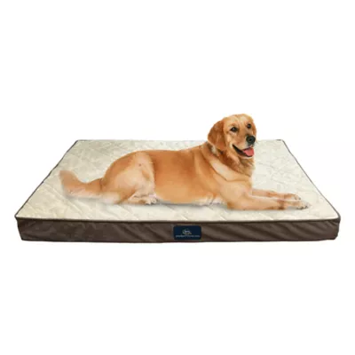 Serta Quilted Orthopedic Pet Pillowtop - Image 5