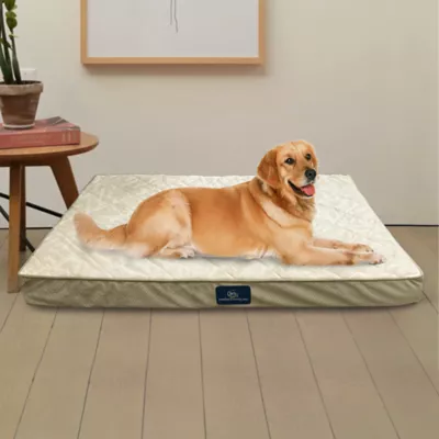 Serta Quilted Orthopedic Pet Pillowtop - Image 4