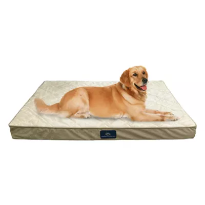 Serta Quilted Orthopedic Pet Pillowtop - Image 5