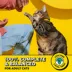 Temptations Soft & Crunchy Cat Treats - Creepy Catnip image thumbnail 3