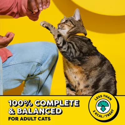  Temptations Mix Ups Soft & Crunchy Cat Treats  - Tasty Human - Image 3