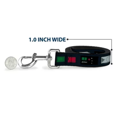 Buckle-Down Star Wars Darth Vader Utility Belt Dog Leash - 4 ft - Image 5