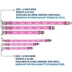 Buckle-Down Mattel Barbie Signature Script Logo Seatbelt Dog Collar image thumbnail 3