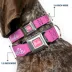 Buckle-Down Mattel Barbie Signature Script Logo Seatbelt Dog Collar image thumbnail 2
