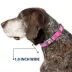 Buckle-Down Mattel Barbie Signature Script Logo Seatbelt Dog Collar image thumbnail 6