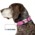 Buckle-Down Mattel Barbie Signature Script Logo Seatbelt Dog Collar image thumbnail 7