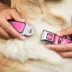 Buckle-Down Mattel Barbie Signature Script Logo Seatbelt Dog Collar image thumbnail 8