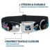 Buckle-Down Disney Lilo & Stitch Snacking Poses Seatbelt Dog Collar image thumbnail 4