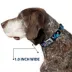 Buckle-Down Disney Lilo & Stitch Snacking Poses Seatbelt Dog Collar image thumbnail 6