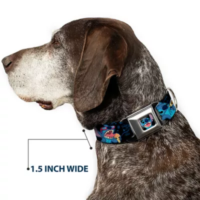 Buckle-Down Disney Lilo & Stitch Snacking Poses Seatbelt Dog Collar - Image 7