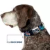 Buckle-Down Disney Lilo & Stitch Snacking Poses Seatbelt Dog Collar image thumbnail 7