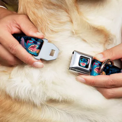 Buckle-Down Disney Lilo & Stitch Snacking Poses Seatbelt Dog Collar - Image 8