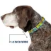 Buckle-Down Scooby Doo The Mystery Machine Paint Job Seatbelt Dog Collar image thumbnail 6
