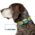 Buckle-Down Scooby Doo The Mystery Machine Paint Job Seatbelt Dog Collar image thumbnail 7