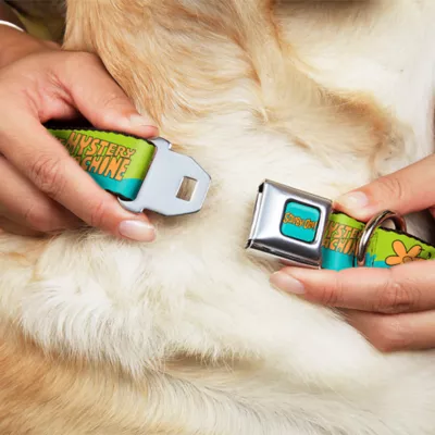 Buckle-Down Scooby Doo The Mystery Machine Paint Job Seatbelt Dog Collar - Image 8