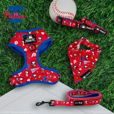 Sassy Woof MLB™ x Peanuts™ Philadelphia Phillies Dog Collar - Image 5
