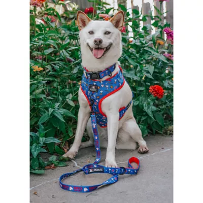 Sassy Woof MLB™ x Peanuts™ Chicago Cubs Dog Leash - 5 FT - Image 6