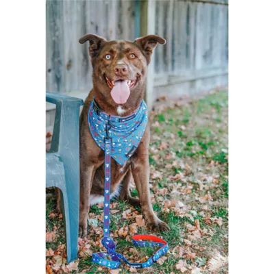 Sassy Woof MLB™ x Peanuts™ Chicago Cubs Dog Leash - 5 FT - Image 7