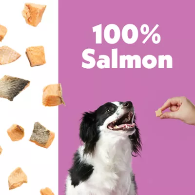 Wiggles & Wags Freeze Dried Salmon 4 OZ - Image 3