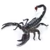 Live Pet Emperor Scorpion image thumbnail 1