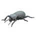 Live Pet Death Feigning Beetle image thumbnail 1