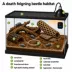 Live Pet Death Feigning Beetle image thumbnail 3