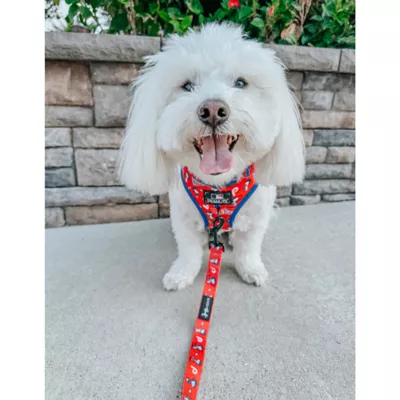 Sassy Woof MLB™ x Peanuts™ Philadelphia Phillies Adjustable Dog Harness - Image 7