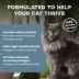 Blue Buffalo Wilderness Bone Broth Boosted High-Protein Diet Adult Indoor Cat Food - Chicken image thumbnail 5