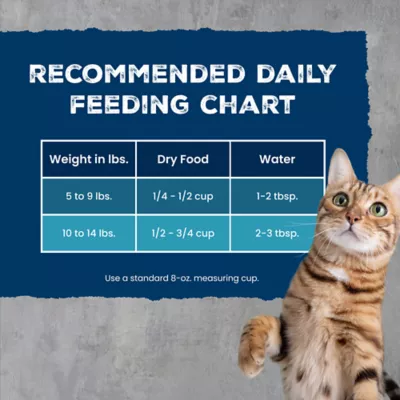 Blue Buffalo Wilderness Bone Broth Boosted High-Protein Diet Adult Indoor Cat Food - Chicken - Image 10
