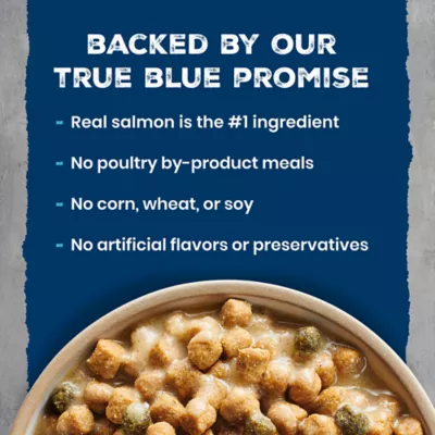 Blue Buffalo Wilderness Bone Broth Boosted High-Protein Diet Adult Indoor Cat Food - Salmon - Image 9