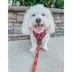 Sassy Woof MLB™ x Peanuts™ Philadelphia Phillies Adjustable Dog Harness image thumbnail 7