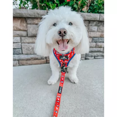 Sassy Woof MLB™ x Peanuts™ Philadelphia Phillies Dog Leash - 5 FT - Image 6