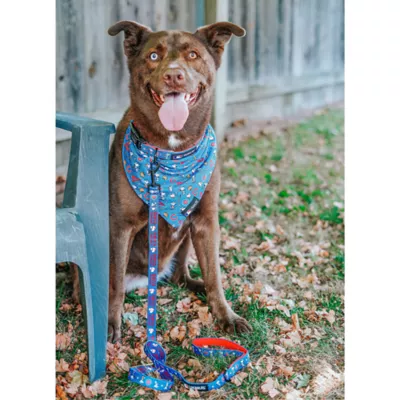 Sassy Woof MLB™ x Peanuts™ Chicago Cubs Dog Bandana - Image 6