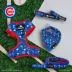 Sassy Woof MLB™ x Peanuts™ Chicago Cubs Dog Collar image thumbnail 5