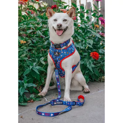 Sassy Woof MLB™ x Peanuts™ Chicago Cubs Adjustable Dog Harness - Image 6