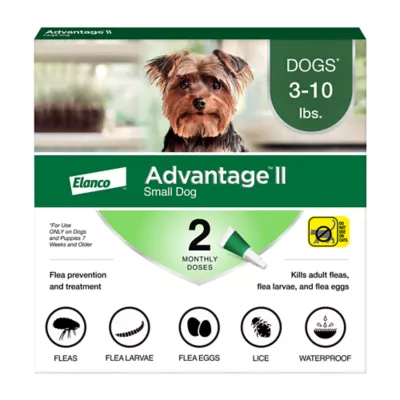 Advantage® II Flea Prevention & Treatment for Small Dogs 3-10 lbs, Monthly Doses - Image 1