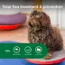 Advantage® II Flea Prevention & Treatment for Small Dogs 3-10 lbs, Monthly Doses image thumbnail 3