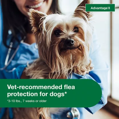 Advantage® II Flea Prevention & Treatment for Small Dogs 3-10 lbs, Monthly Doses - Image 4