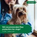 Advantage® II Flea Prevention & Treatment for Small Dogs 3-10 lbs, Monthly Doses image thumbnail 4