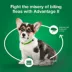 Advantage® II Flea Prevention & Treatment for Small Dogs 3-10 lbs, Monthly Doses image thumbnail 6