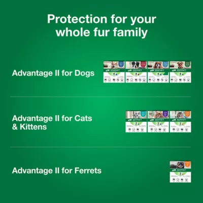 Advantage® II Flea Prevention & Treatment for Small Dogs 3-10 lbs, Monthly Doses - Image 7