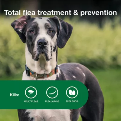 Advantage® II Flea Prevention & Treatment for Extra Large Dogs over 55 lbs, Monthly Doses - Image 3