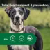 Advantage® II Flea Prevention & Treatment for Extra Large Dogs over 55 lbs, Monthly Doses image thumbnail 3
