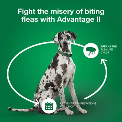 Advantage® II Flea Prevention & Treatment for Extra Large Dogs over 55 lbs, Monthly Doses - Image 6