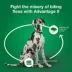 Advantage® II Flea Prevention & Treatment for Extra Large Dogs over 55 lbs, Monthly Doses image thumbnail 6