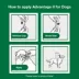 Advantage® II Flea Prevention & Treatment for Extra Large Dogs over 55 lbs, Monthly Doses image thumbnail 8