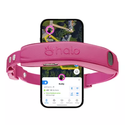 Halo Collar 5 Wireless Dog Fence & GPS Dog Collar - Image 1