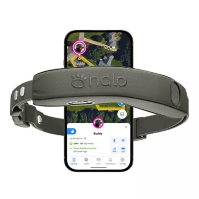 Halo Collar 5 Wireless Dog Fence & GPS Dog Collar - Image 1
